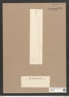 Synedra sp. (de-Toni-Nr.: Genus 66) Zeichnungen Sammlung Grunow Nr. 5389 (NHMW-BOT-W0373819)